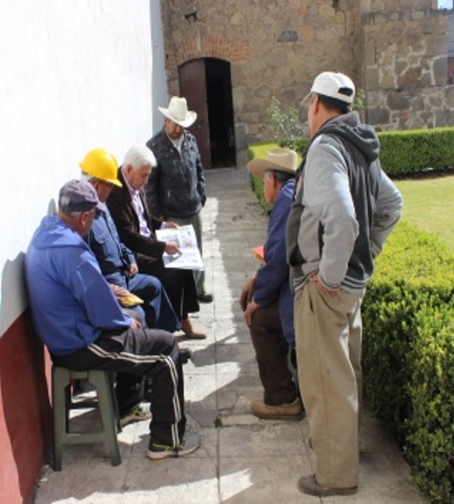 Imagen8