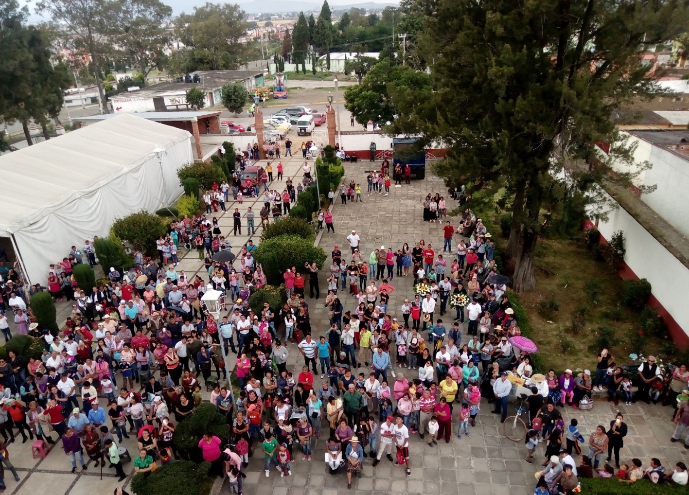 Imagen82